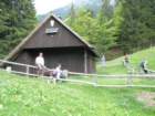 gubno24_small.jpg
