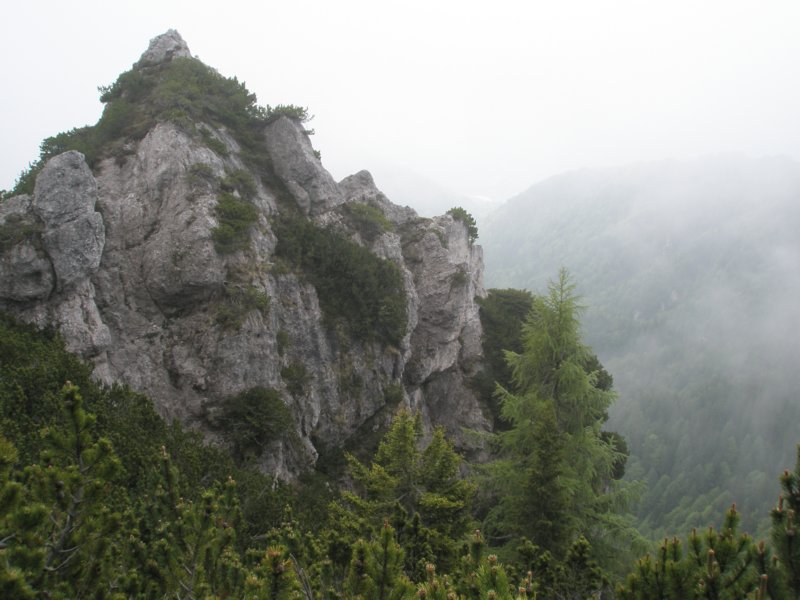 gubno9.jpg