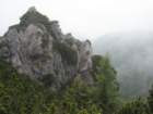 gubno9_small.jpg