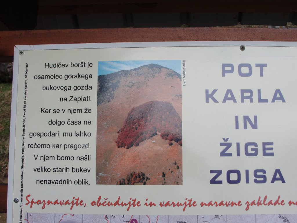 hudievbort23.jpg