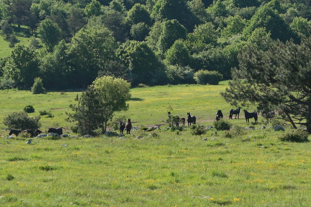 ilentabor202514.jpg
