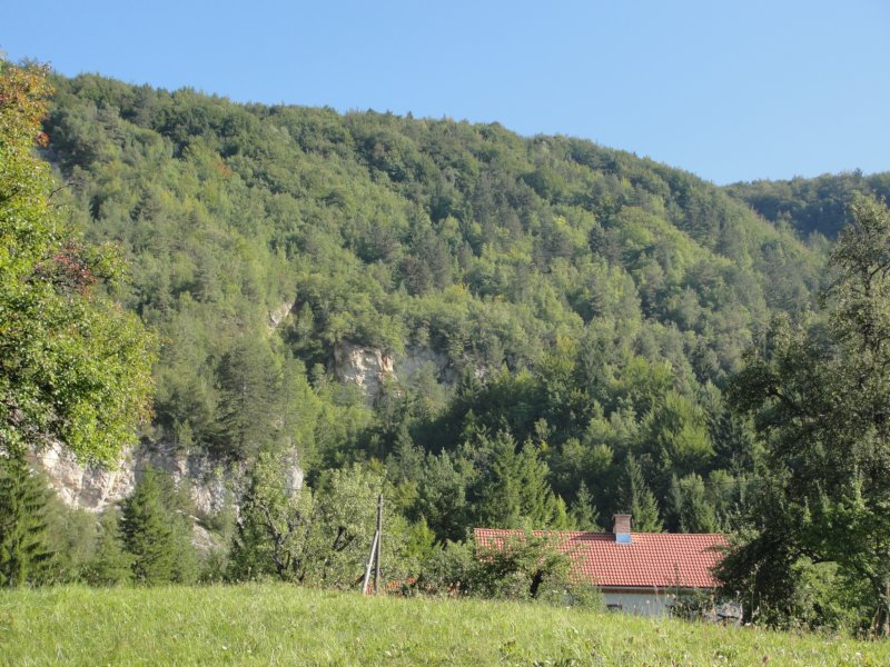 izvirabranke20.jpg