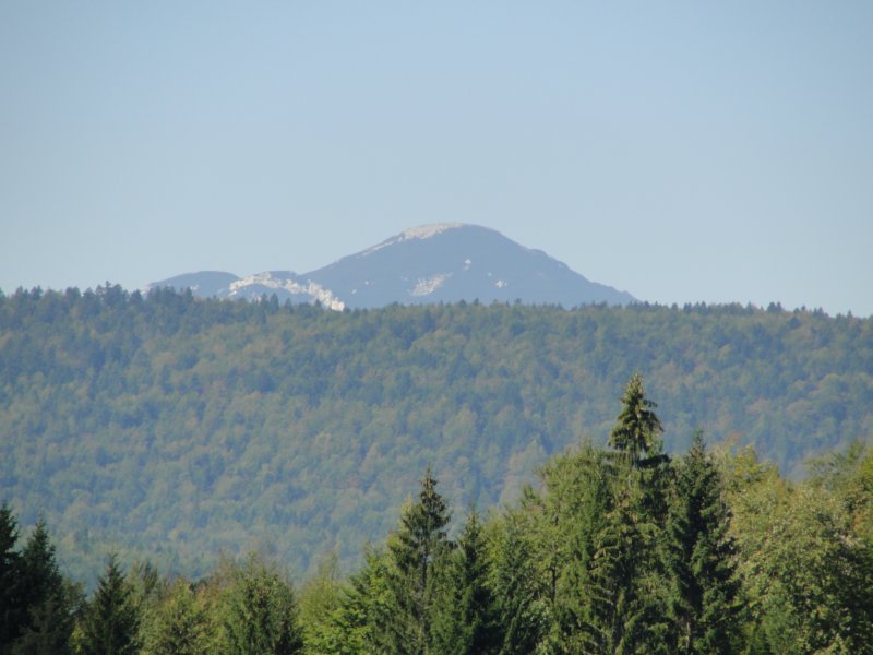 izvirabranke52.jpg