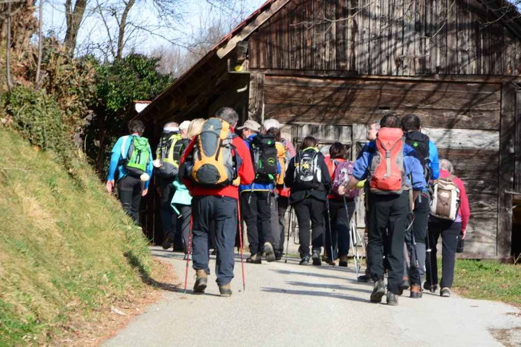 jakobovapot17.jpg