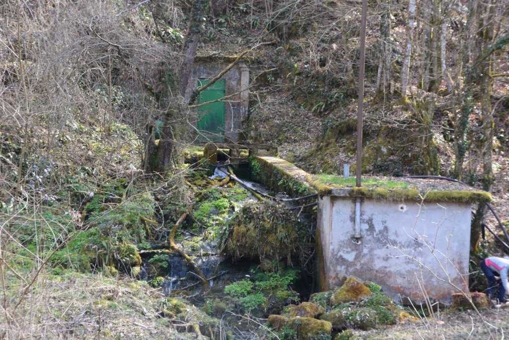 jakobovapot53.jpg