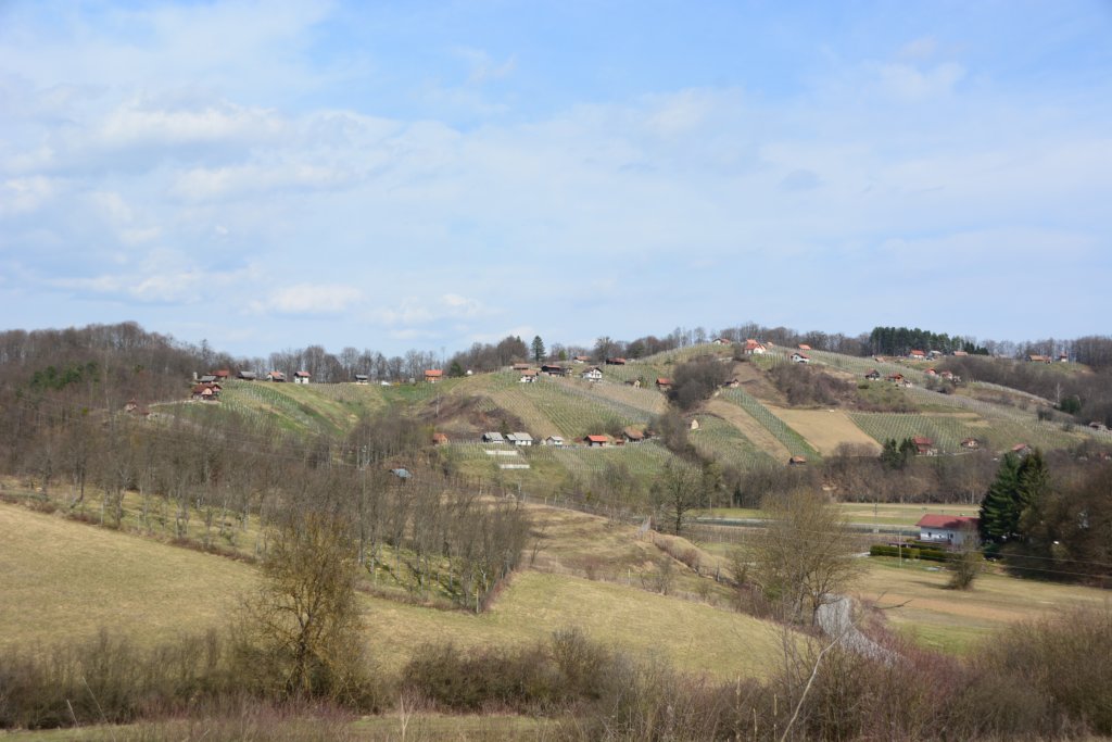 jakobovapot58.jpg
