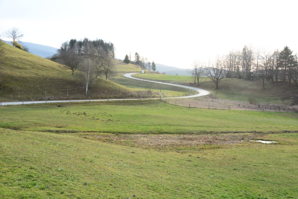 jakobovapot86.jpg