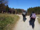 jakobovapot202298_small.jpg