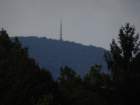 jakobovaii44_small.jpg
