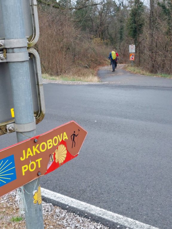 jakobovapotpodragatrst13.jpg