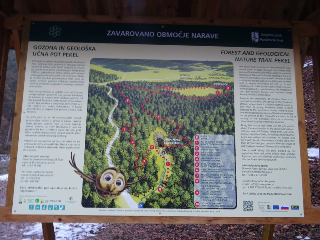 jamapekel6.jpg