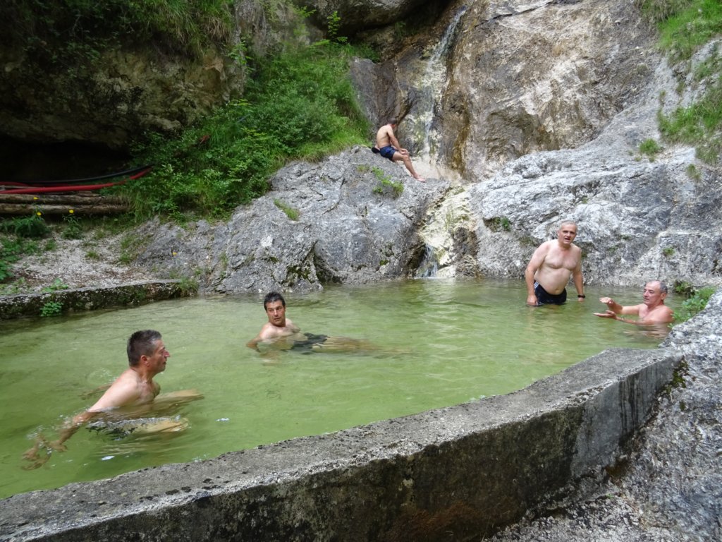 jerebica29.jpg