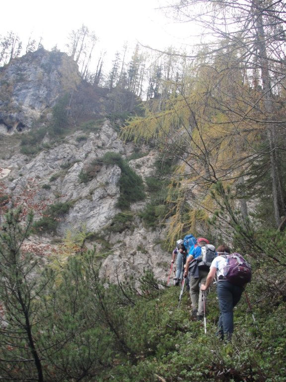 jerebikovec12.jpg