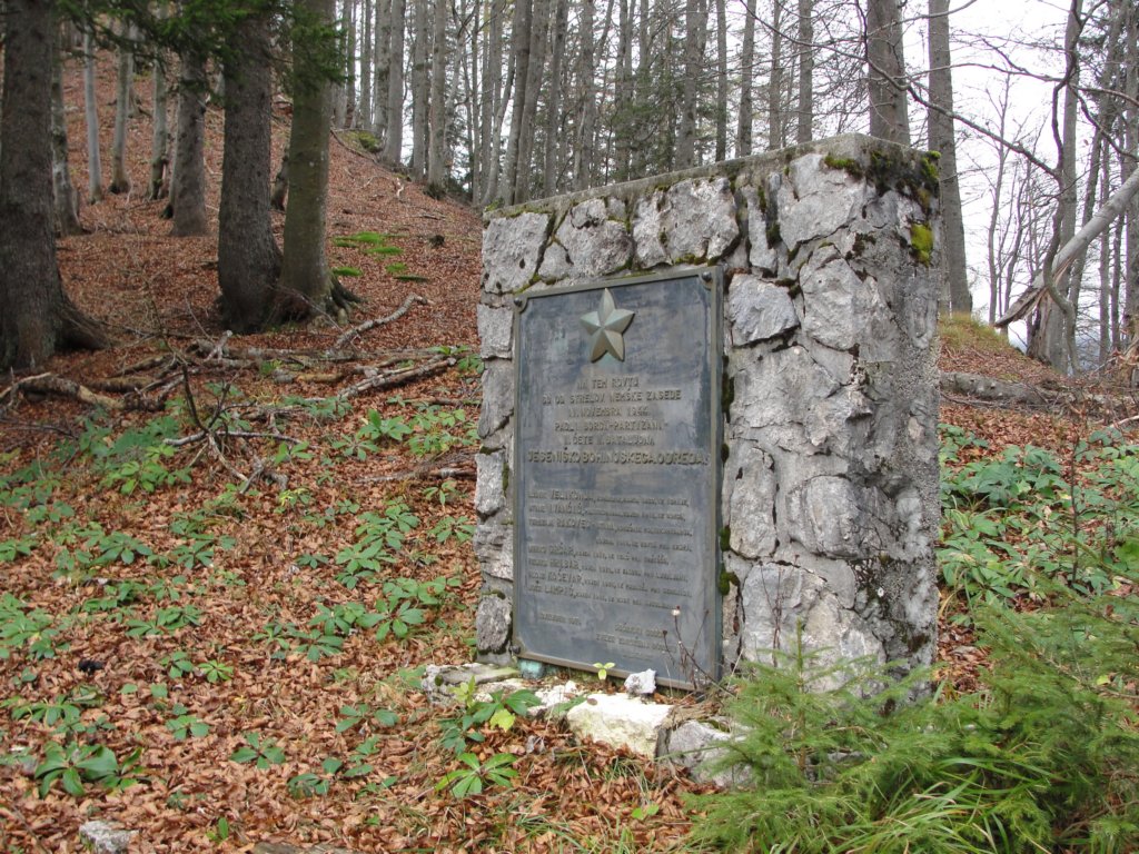 jerebikovec28.jpg