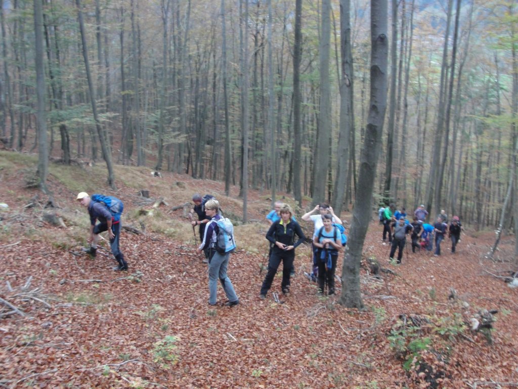 jerebikovec3.jpg