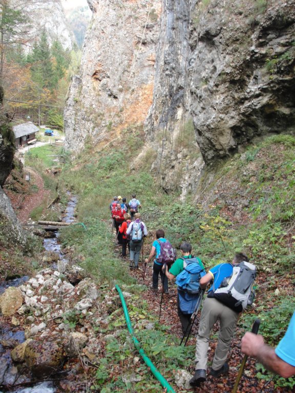 jerebikovec35.jpg