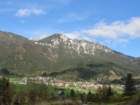 jerebikovec39_small.jpg
