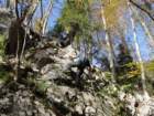 jerebikovec46_small.jpg