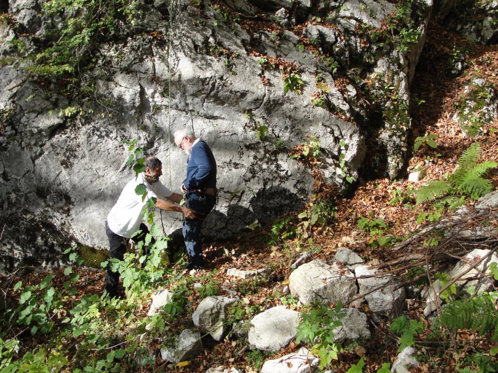 jerebikovec52.jpg