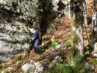 jerebikovec54_small.jpg