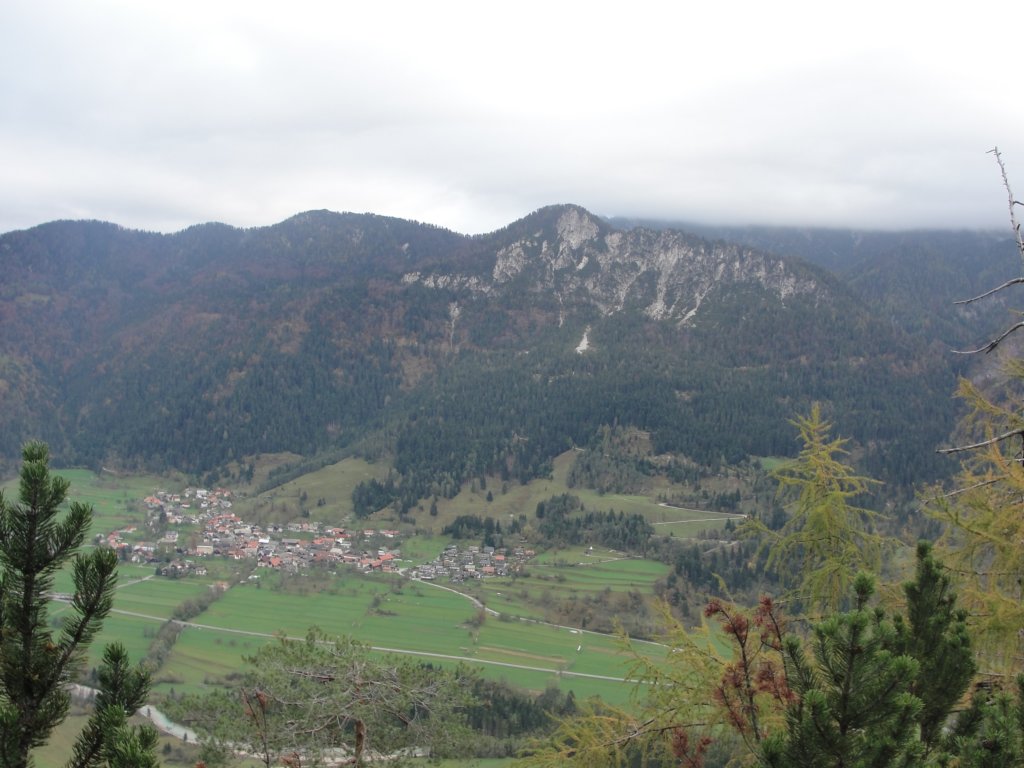 jerebikovec6.jpg