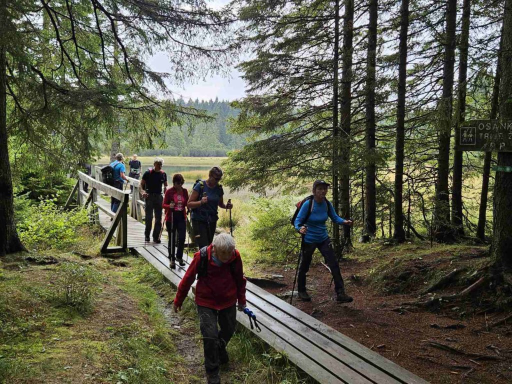 pohorje20258.jpg