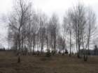 jurievpohod201227_small.jpg