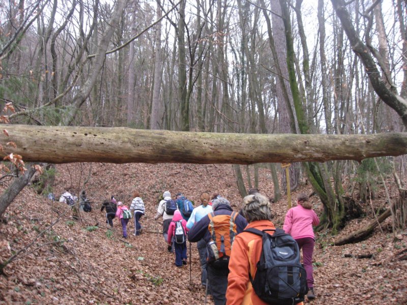 jurievpohod20129.jpg