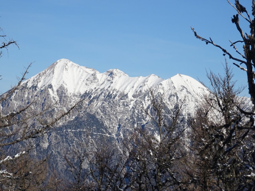 jerebikovec201618.jpg