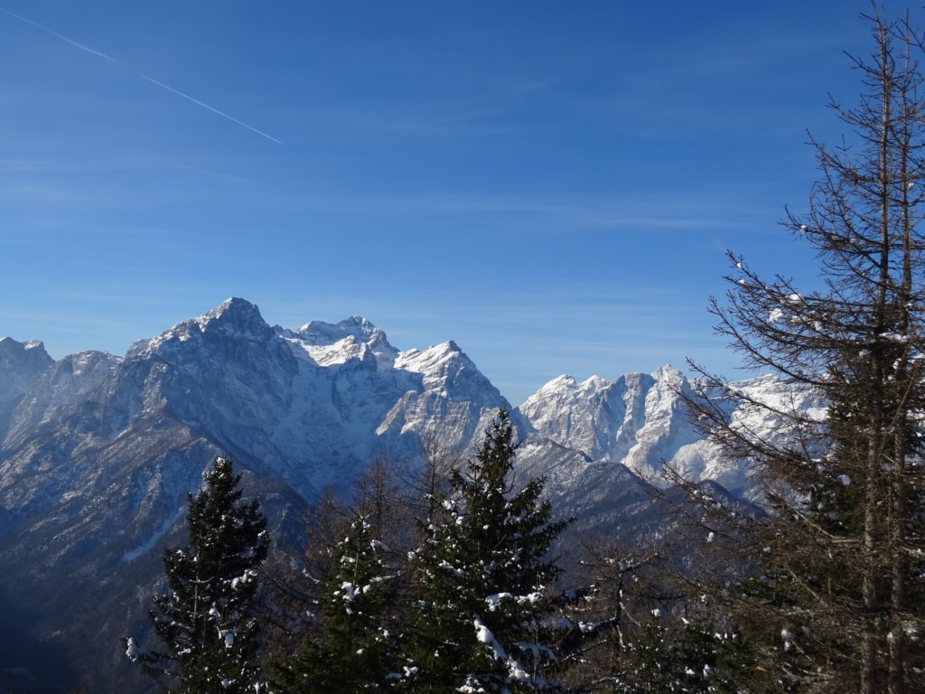 jerebikovec201626.jpg