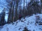 jerebikovec201636_small.jpg