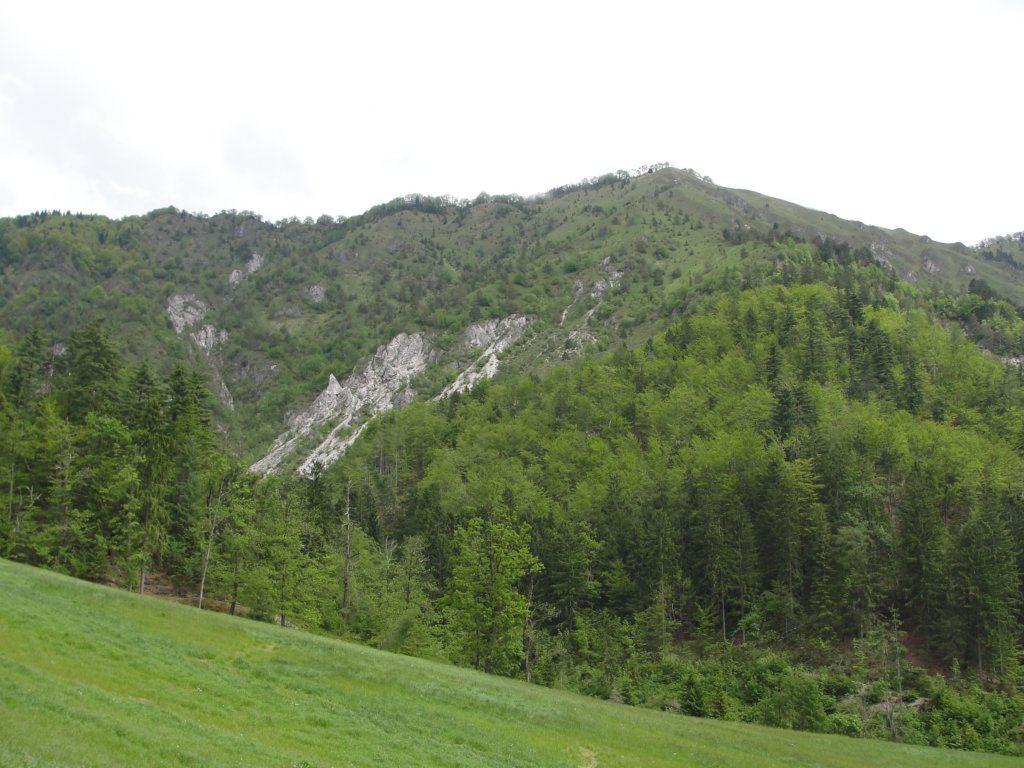 kamnikivrh49.jpg