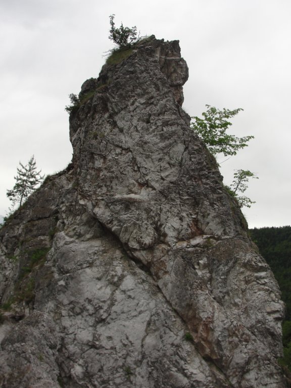 kamnikivrh9.jpg