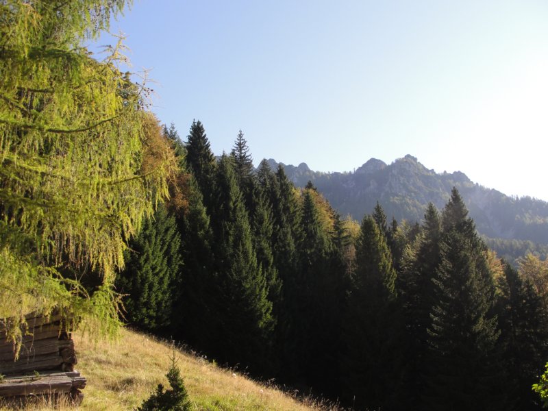 kepavodnika17.jpg