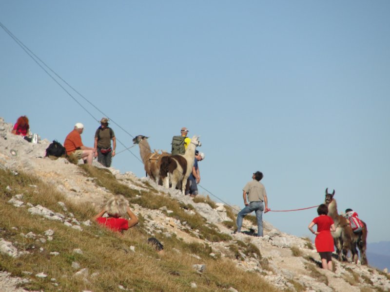 kepavodnika54.jpg