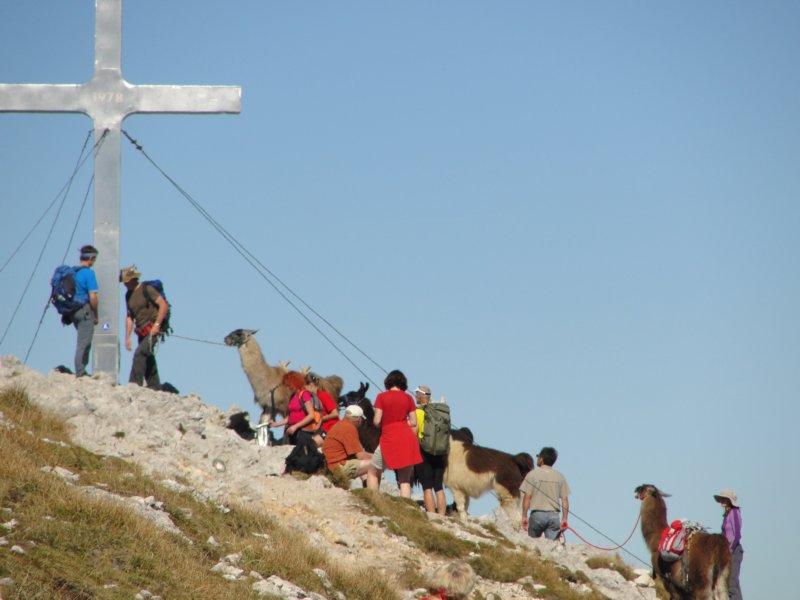 kepavodnika55.jpg