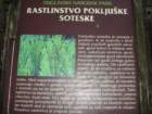 planinaklek52_small.jpg