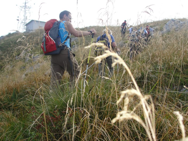 kobarikistol35.jpg