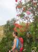 kobarikistol43_small.jpg