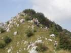kobarikistol53_small.jpg
