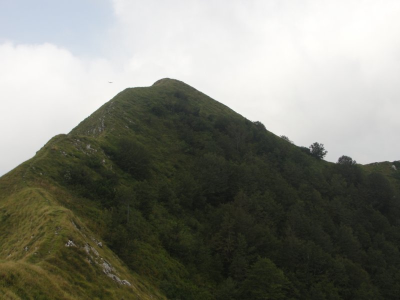 kobarikistol61.jpg