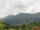 kobarikistol84_small.jpg