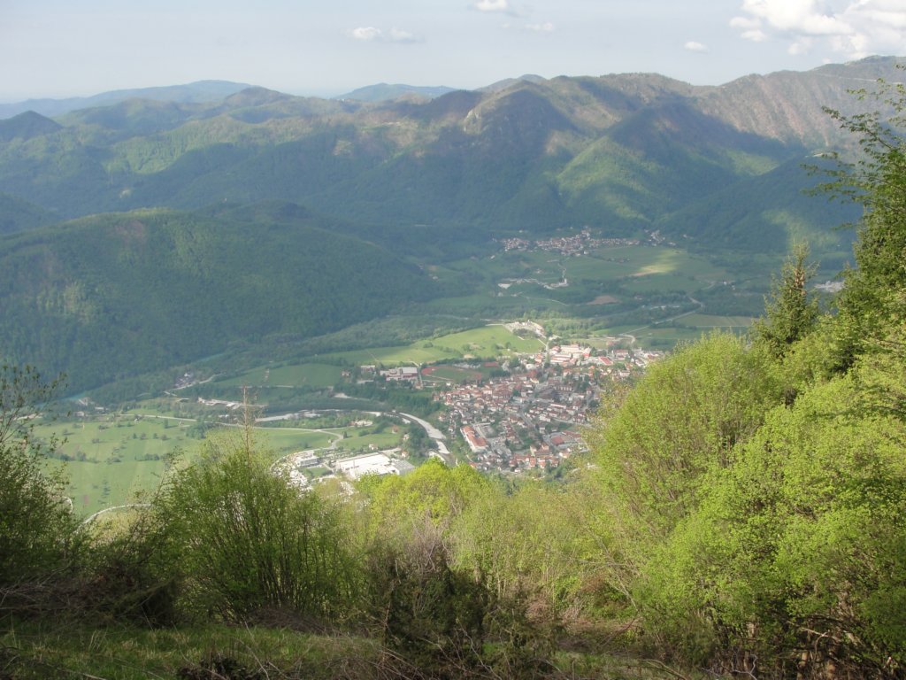 kobiljaglavajalovnik14.jpg