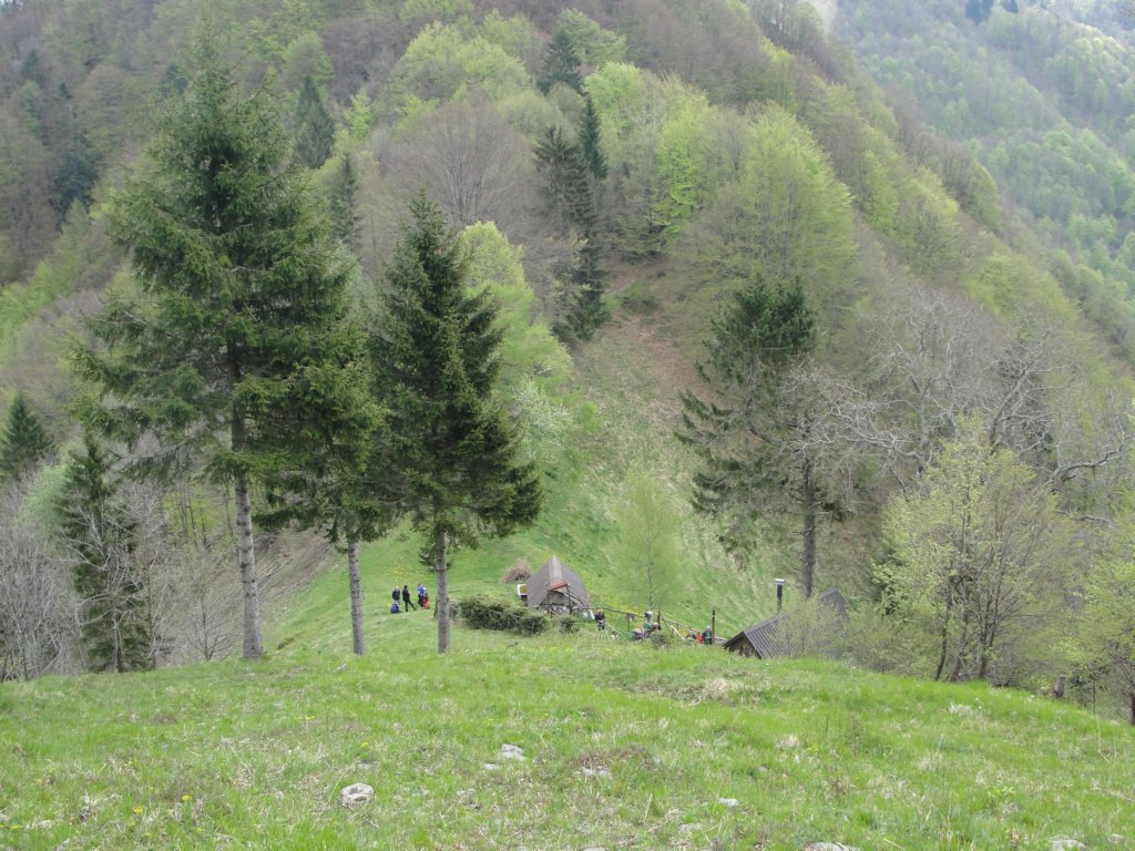 kobiljaglavajalovnik16.jpg