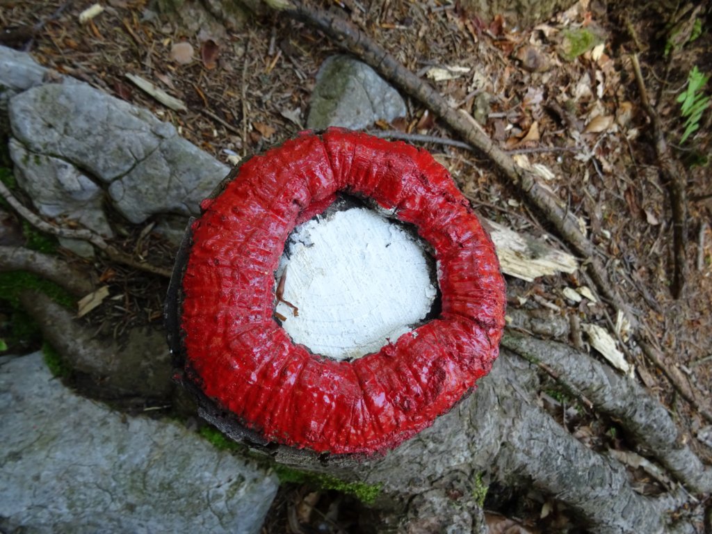 kocbekovopriznanje201548.jpg