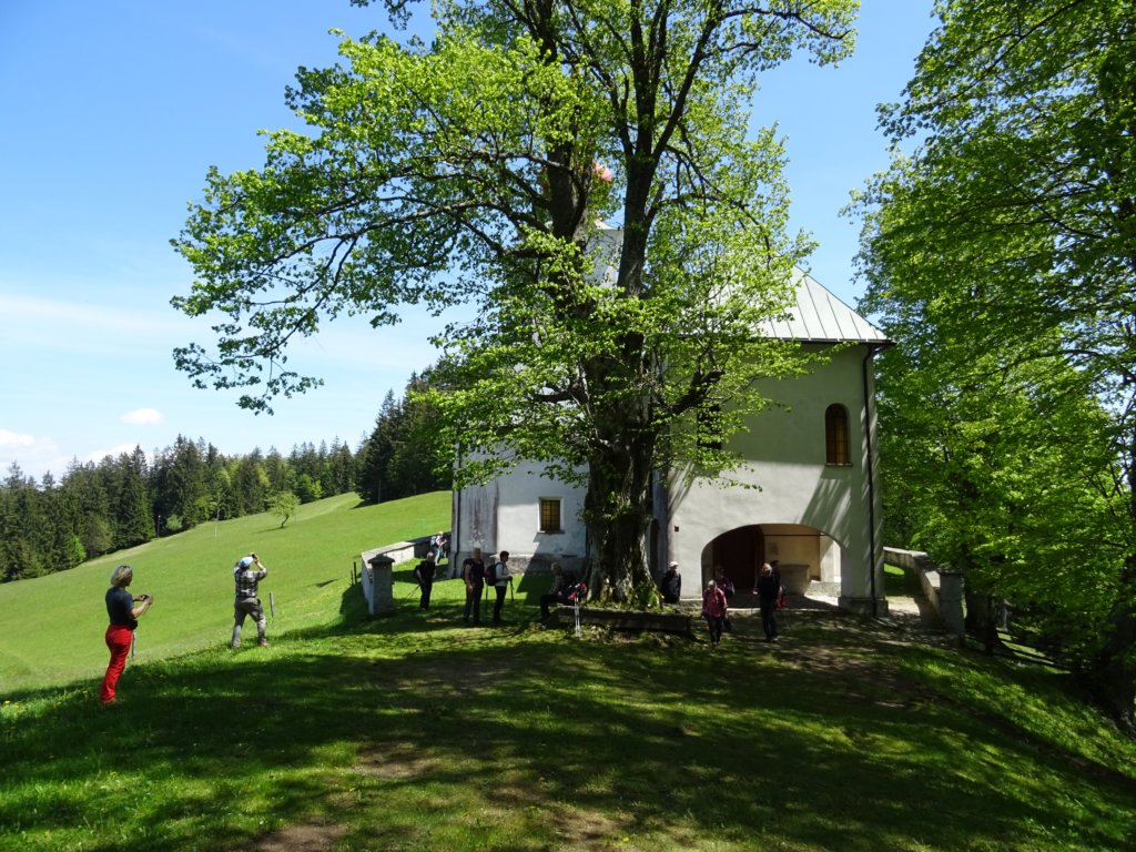 kocbekovopriznanje201562.jpg