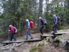 rogla37_small.jpg