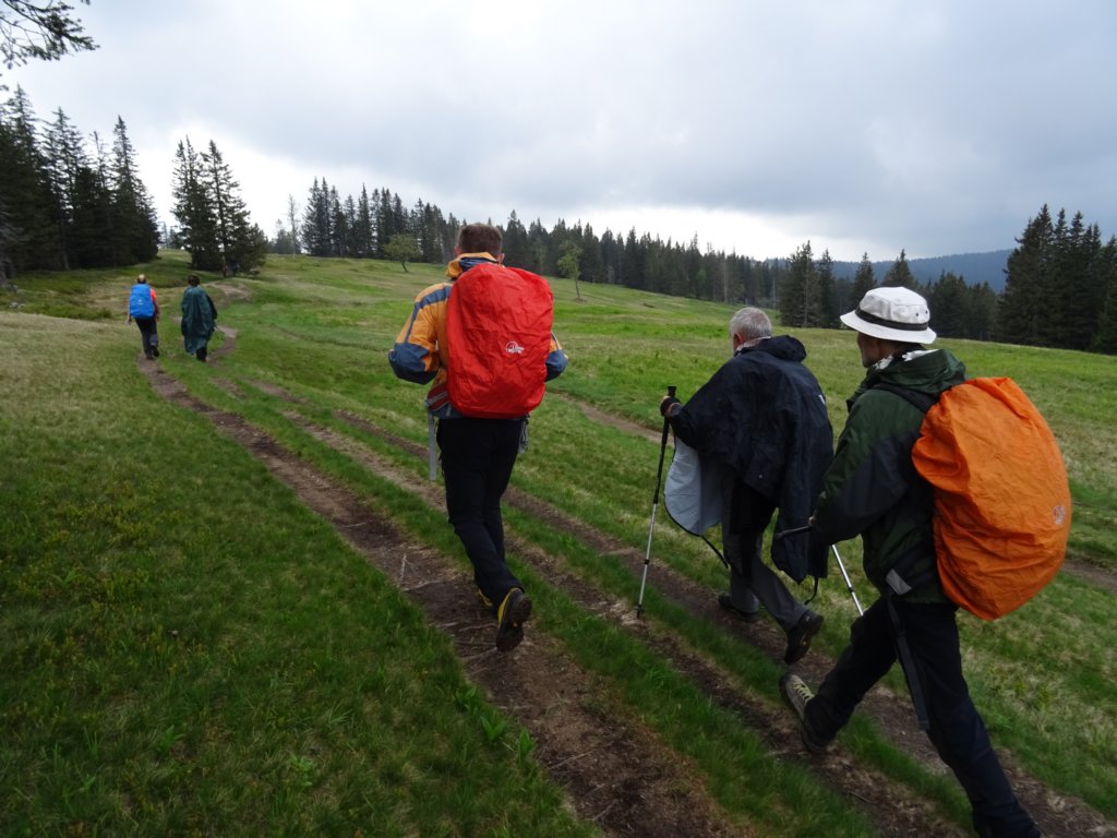 rogla40.jpg