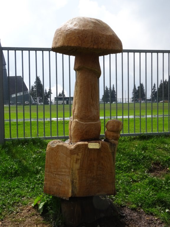rogla49.jpg