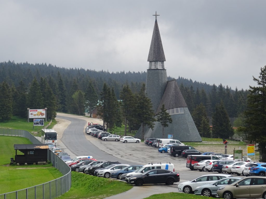 rogla50.jpg